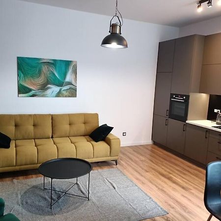 Nettuno Dowborczykow Apartman Łódź Kültér fotó